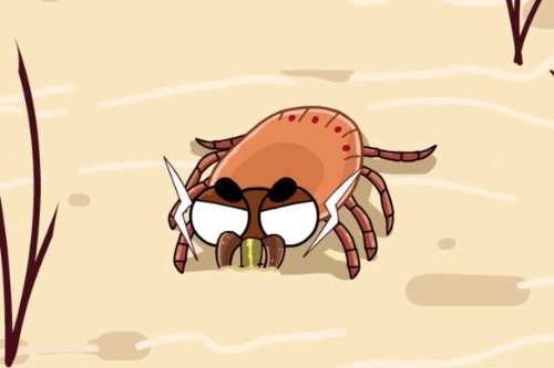 杭州阿姨臀部冒出一颗“黑痣”，仔细一看还在慢慢变大，这到底是什么？