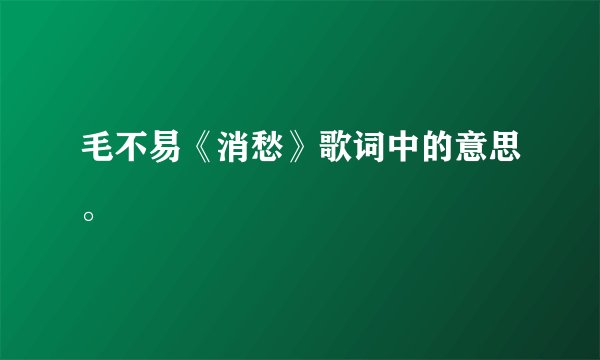 毛不易《消愁》歌词中的意思。