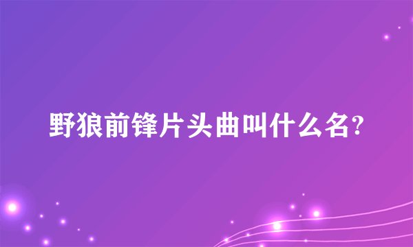 野狼前锋片头曲叫什么名?
