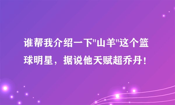 谁帮我介绍一下