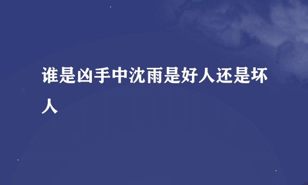 谁是凶手中沈雨是好人还是坏人