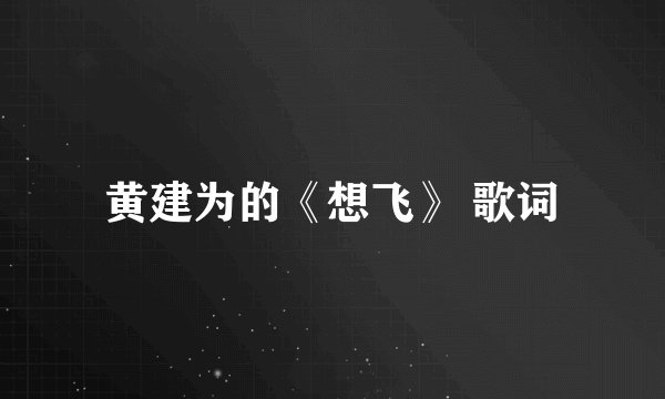 黄建为的《想飞》 歌词