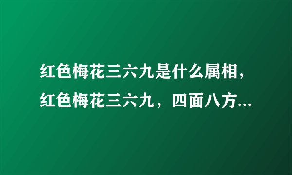 红色梅花三六九是什么属相，红色梅花三六九，四面八方蛇羊发是什么肖