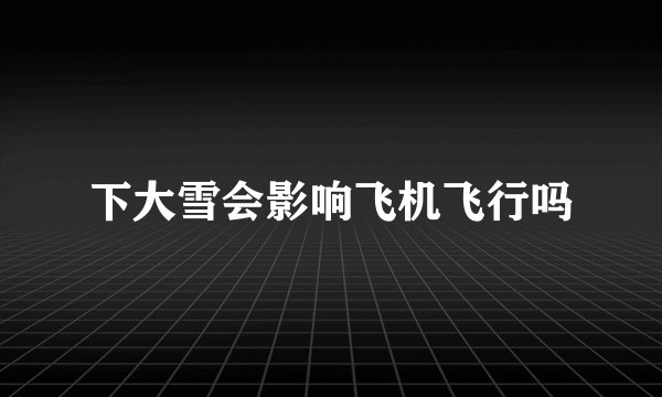 下大雪会影响飞机飞行吗