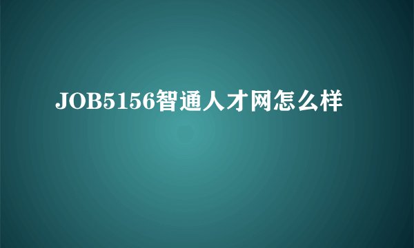 JOB5156智通人才网怎么样