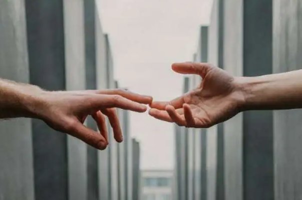 同情是什么意思