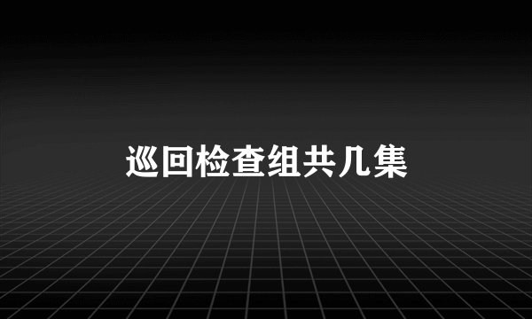 巡回检查组共几集