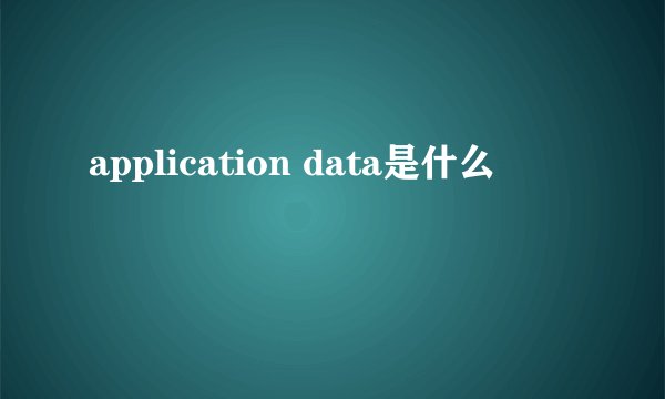 application data是什么