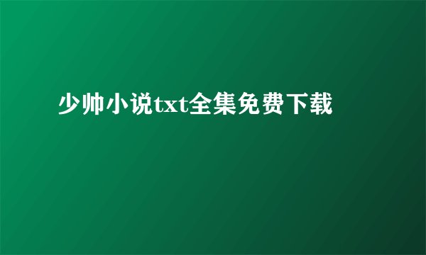 少帅小说txt全集免费下载