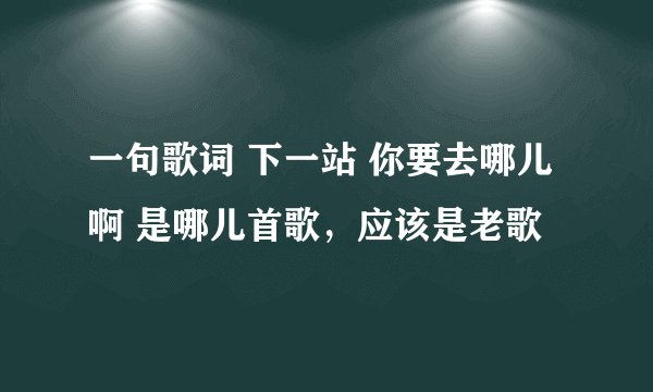 一句歌词 下一站 你要去哪儿啊 是哪儿首歌，应该是老歌