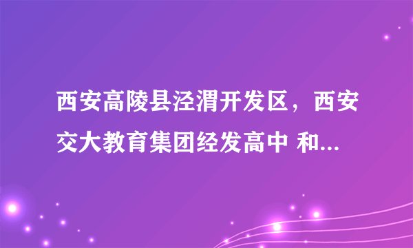 西安高陵县泾渭开发区，西安交大教育集团经发高中 和西安市高陵县泾渭中学哪个教学质量好?