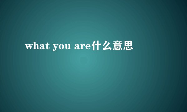 what you are什么意思