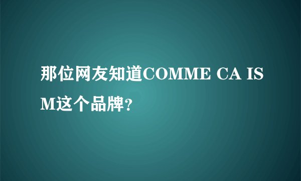 那位网友知道COMME CA ISM这个品牌？