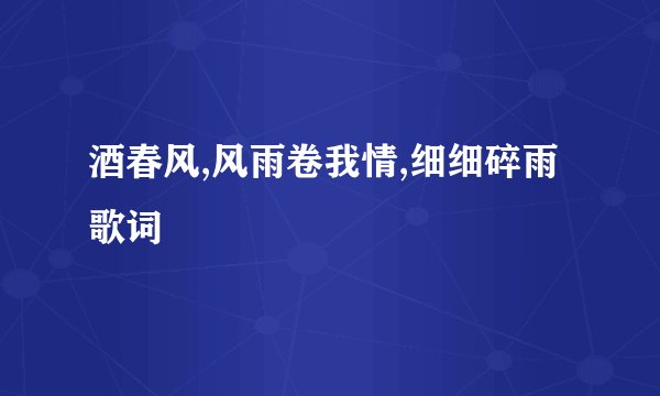 酒春风,风雨卷我情,细细碎雨歌词