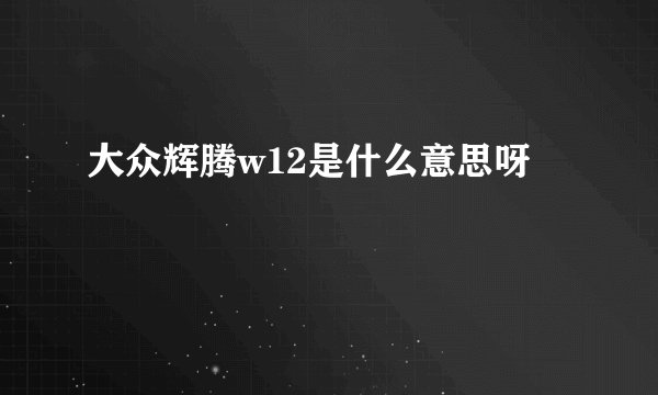 大众辉腾w12是什么意思呀