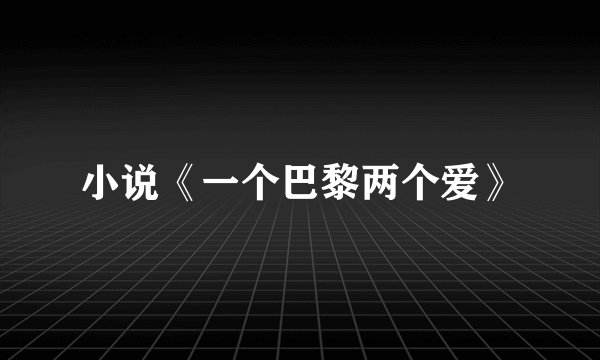 小说《一个巴黎两个爱》