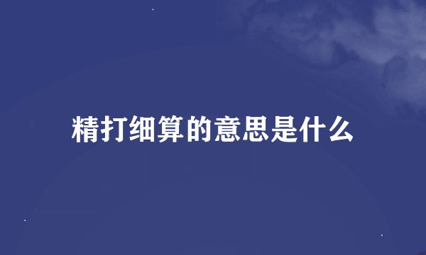 精打细算的意思是什么