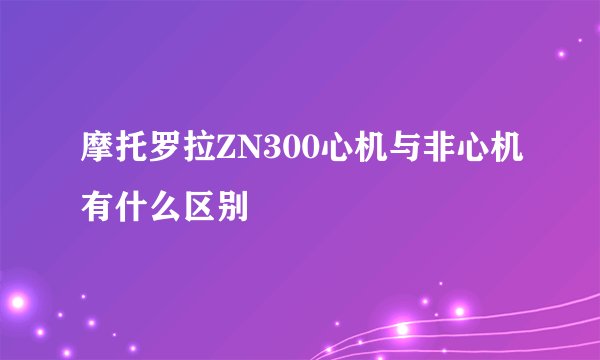 摩托罗拉ZN300心机与非心机有什么区别