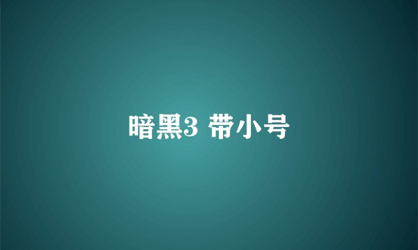 暗黑3 带小号