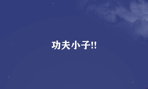 功夫小子!!