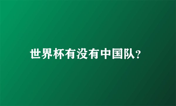 世界杯有没有中国队？