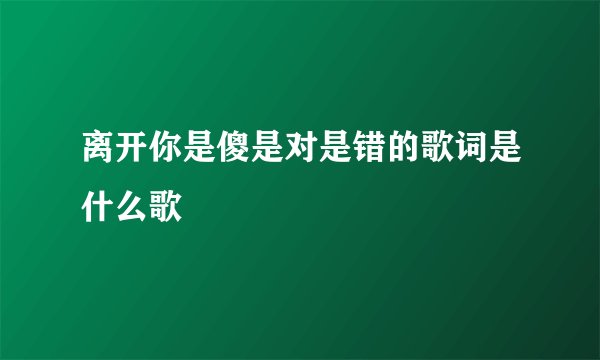 离开你是傻是对是错的歌词是什么歌