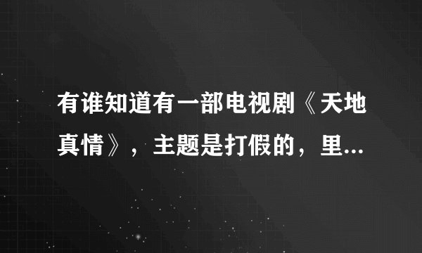 有谁知道有一部电视剧《天地真情》，主题是打假的，里面演员有张晓林，何麟，吴冕