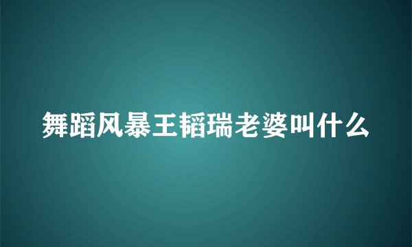 舞蹈风暴王韬瑞老婆叫什么