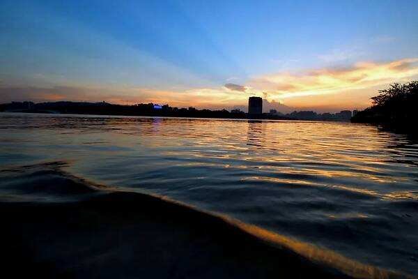 在树枝守望7天，洪水中的鸡坚强，坚强是怎样的人生态度？