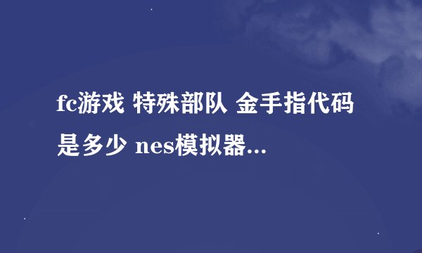 fc游戏 特殊部队 金手指代码是多少 nes模拟器的！！！！！！！！！