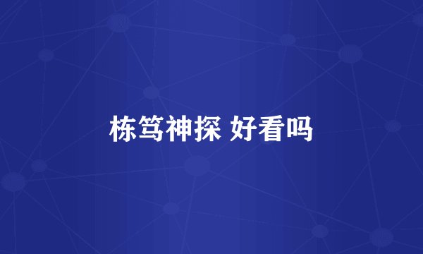 栋笃神探 好看吗