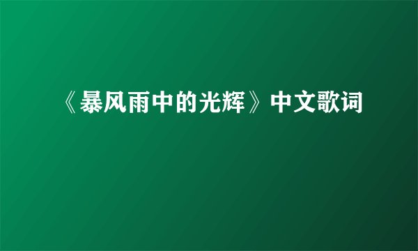 《暴风雨中的光辉》中文歌词