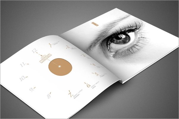 focused on和 focus on的区别是什么？