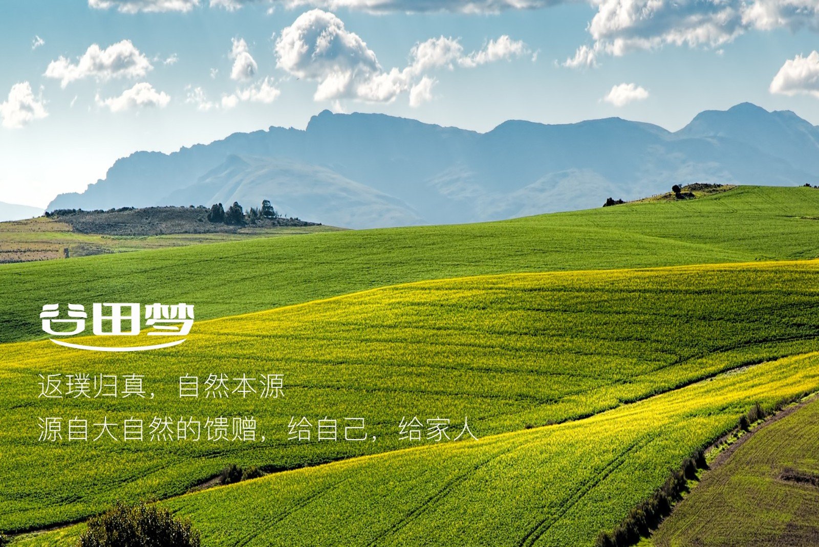 红枣的功效与作用及禁忌