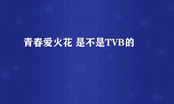 青春爱火花 是不是TVB的