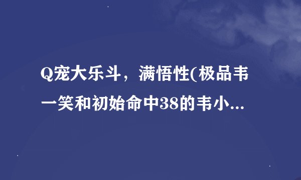 Q宠大乐斗，满悟性(极品韦一笑和初始命中38的韦小宝)哪个好