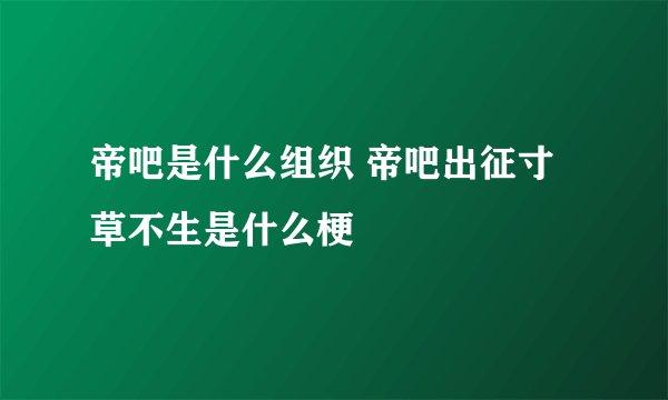 帝吧是什么组织 帝吧出征寸草不生是什么梗