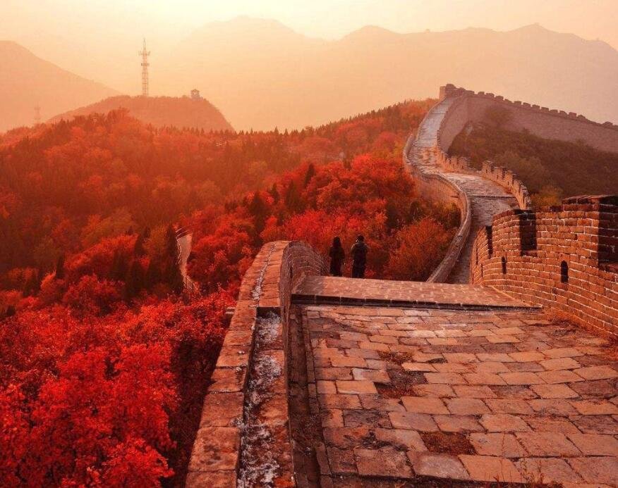 几行红叶树，无数夕阳山。这句诗的意思是什么？