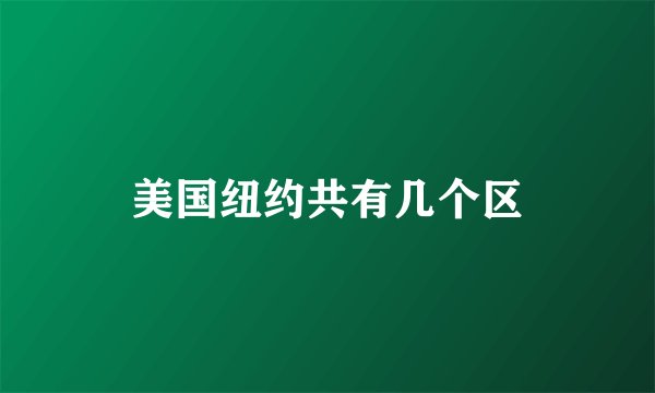 美国纽约共有几个区