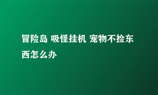 冒险岛 吸怪挂机 宠物不捡东西怎么办