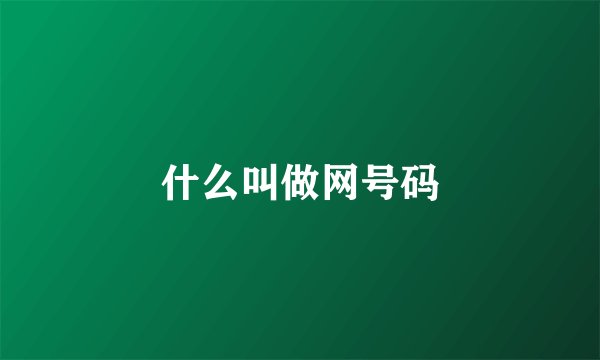 什么叫做网号码