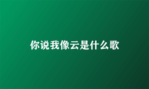 你说我像云是什么歌