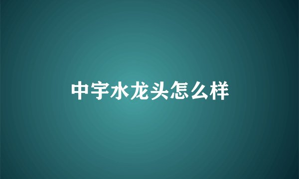 中宇水龙头怎么样