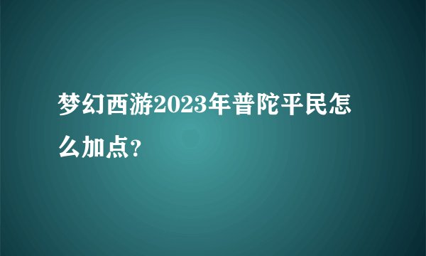 梦幻西游2023年普陀平民怎么加点？