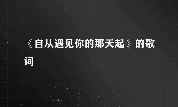 《自从遇见你的那天起》的歌词