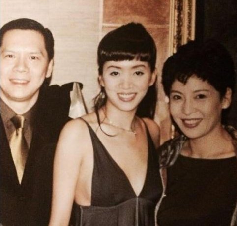 梅艳芳与向华强是什么关系