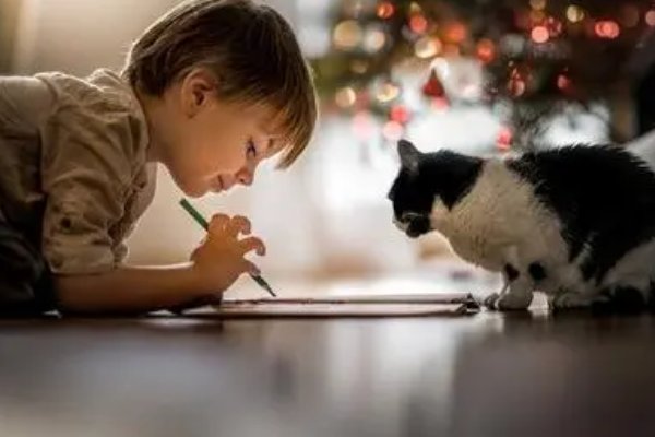 ebony英文名意思