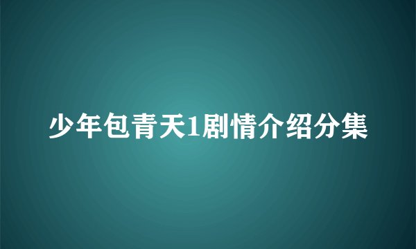 少年包青天1剧情介绍分集