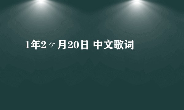 1年2ヶ月20日 中文歌词