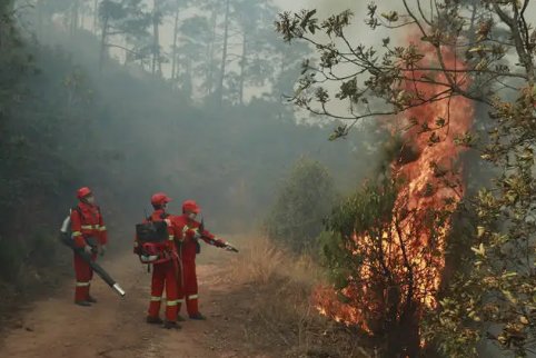 涪陵山火仍在扑救中，山火是如何引发的？为何扑救这么难呢？